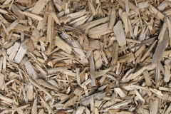 biomass boilers Shide